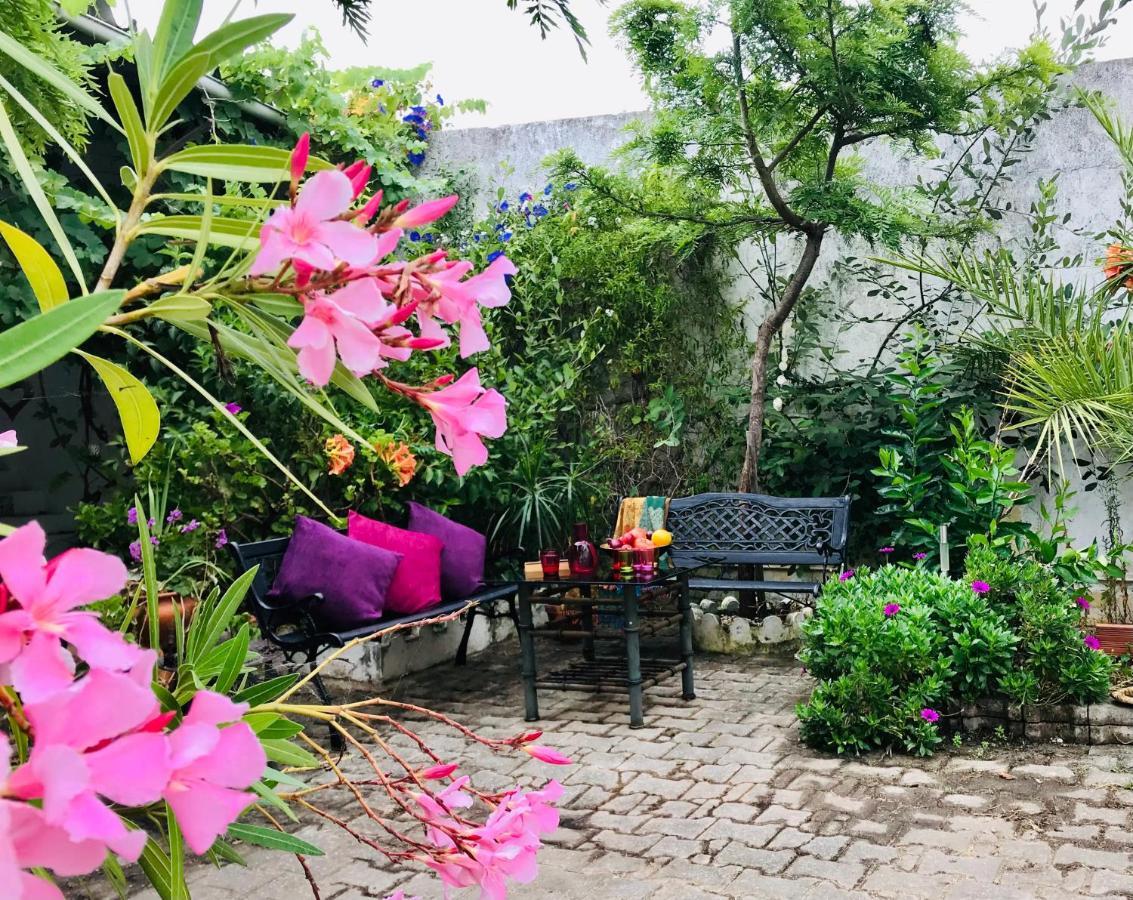 Ceu Sobre Montejunto Boutique B&B Cadaval Dış mekan fotoğraf